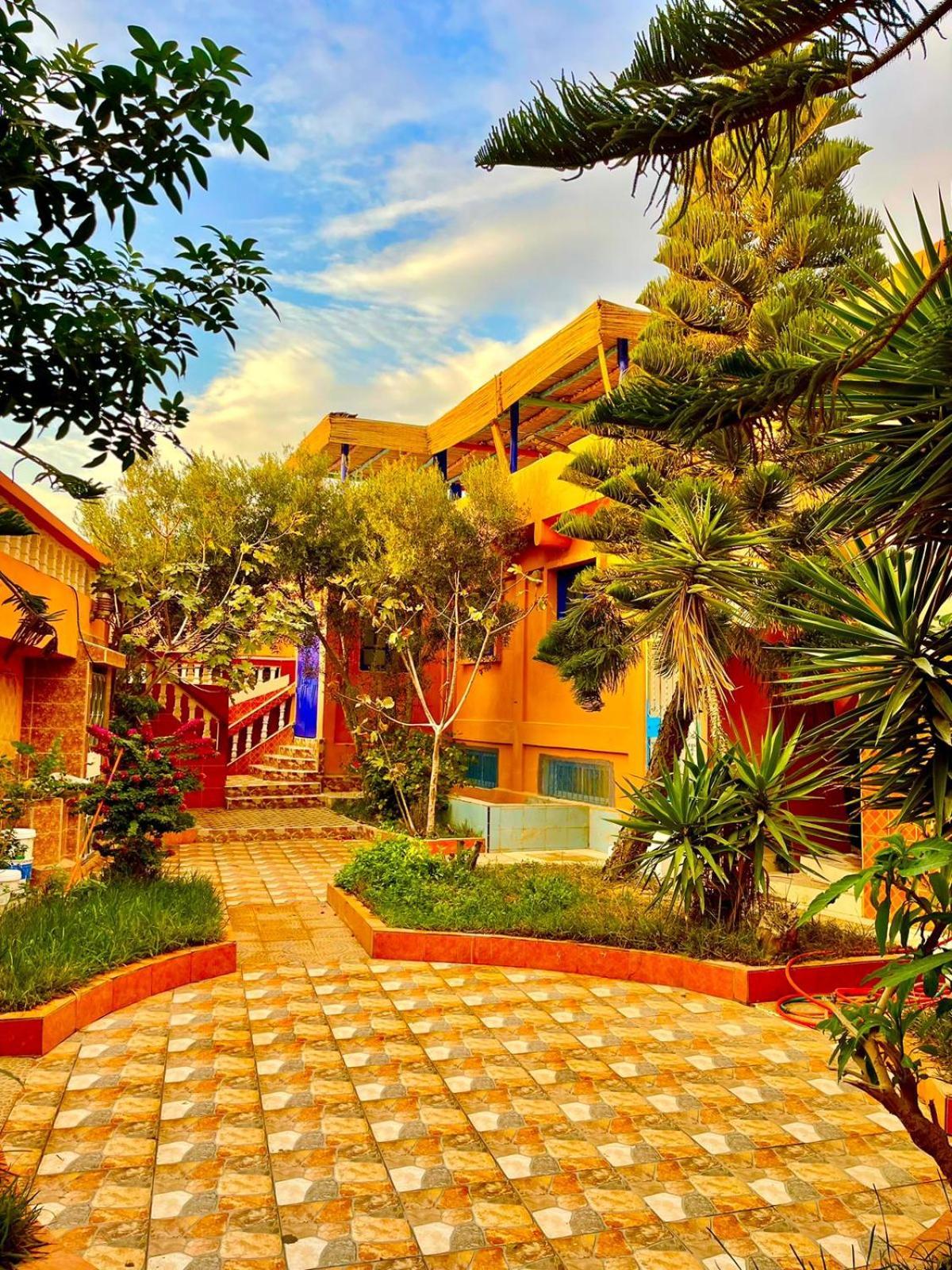 Bed and Breakfast Surf & Salsa Ocean House Tamraght Zewnętrze zdjęcie