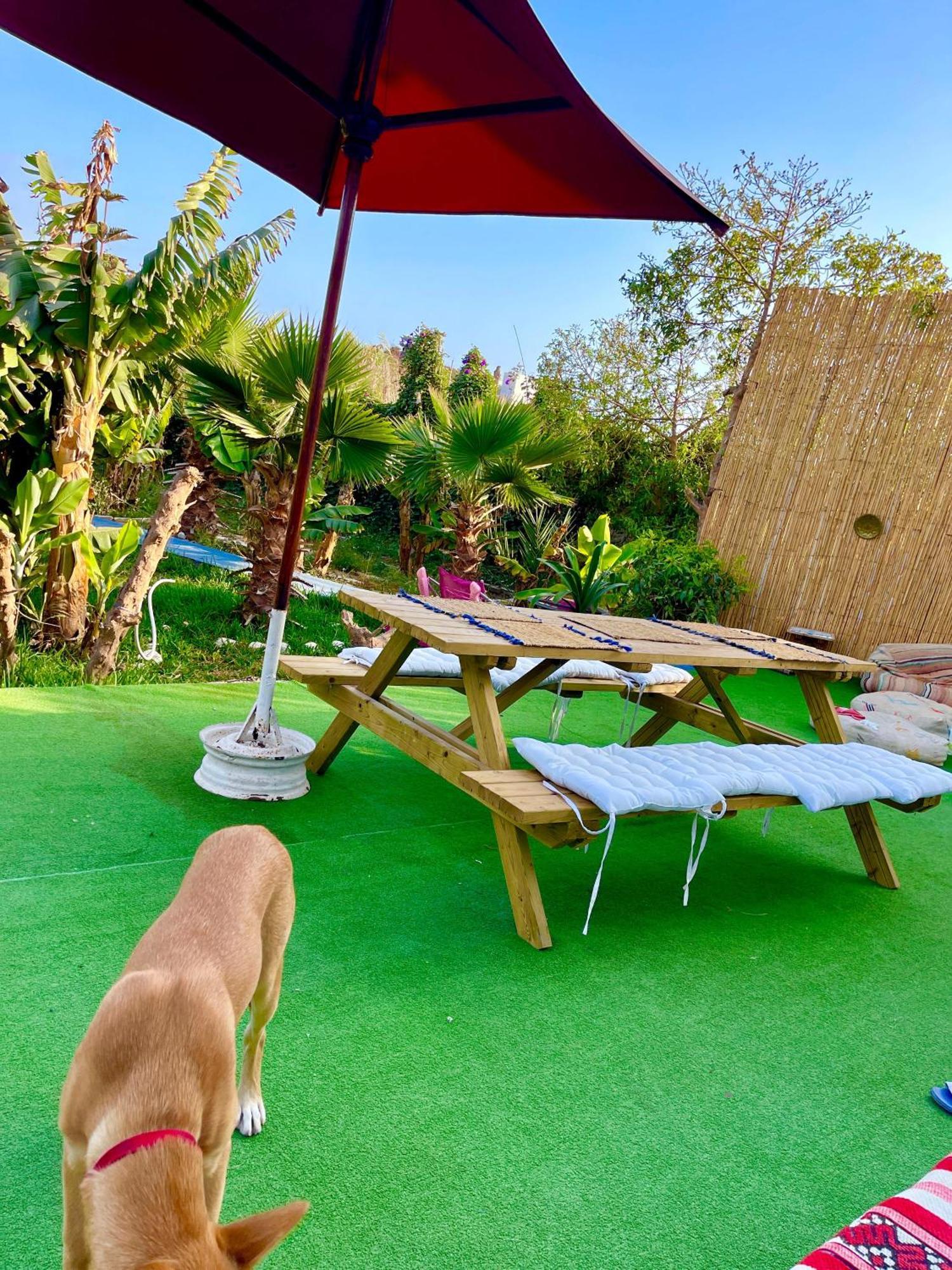 Bed and Breakfast Surf & Salsa Ocean House Tamraght Zewnętrze zdjęcie